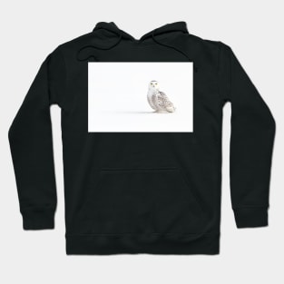 Cast a shadow - Snowy Owl Hoodie